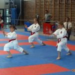 Karate w Żukowie: Gokken Chwaszczyno zorganizował dwa turnieje [ZDJĘCIA]