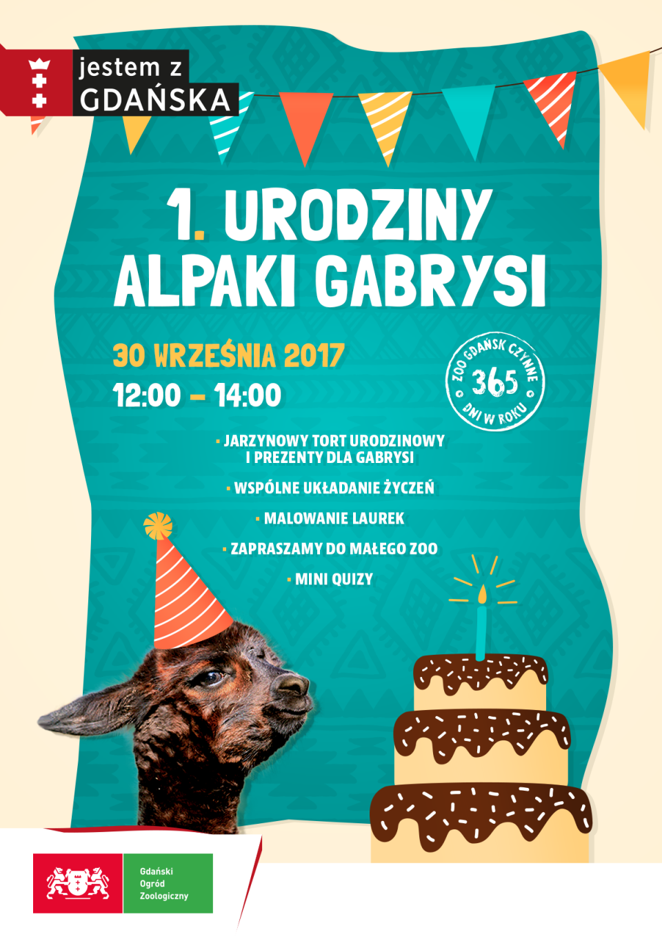 Małe Zoo w Gdańsku: 1. urodziny alpaki Gabrysi