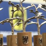 Rusza nabór wniosków do nagrody Srebrne Drzewka! Za osiągnięcia w dziedzinie pomocy społecznej