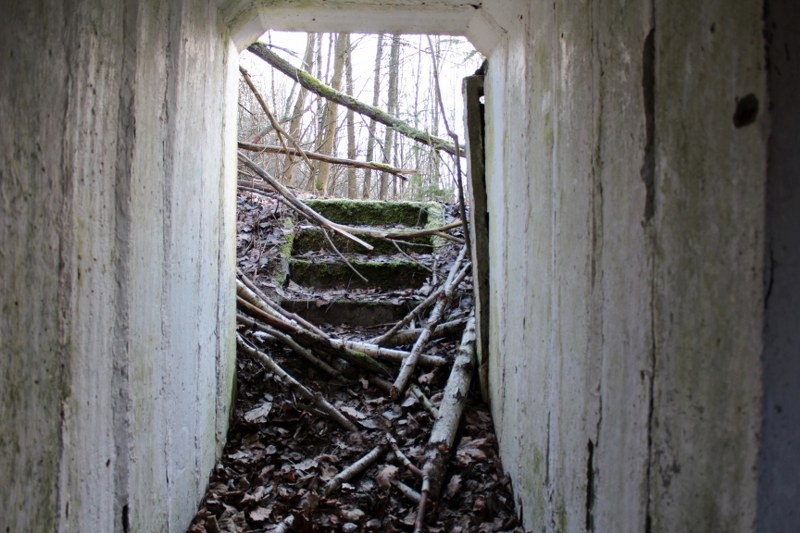 bunkry-babi-dol004-20160217_800x533