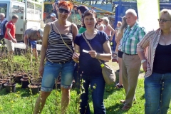 Drzewko za makulature022