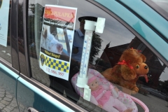 samochod_pulapka_kartuzy_001