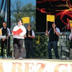 „Muzyka bez granic” w parku Solidarności w Kartuzach [ZDJĘCIA]