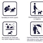 Akcja „Twój Pies” także w Kartuzach: prewencja i edukacja