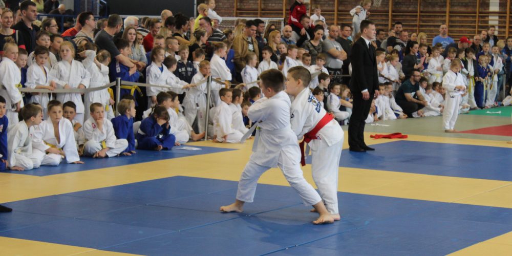 Zukovia Judo Cup 2018 przyciągnął setki sportowców! [ZDJĘCIA]