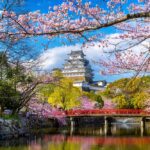 Wycieczka do Japonii a ubezpieczenie turystyczne. Na to zwróć uwagę?