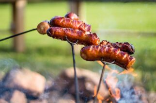 Piknik Przyrodniczy w Sarnim Dworze już wkrótce