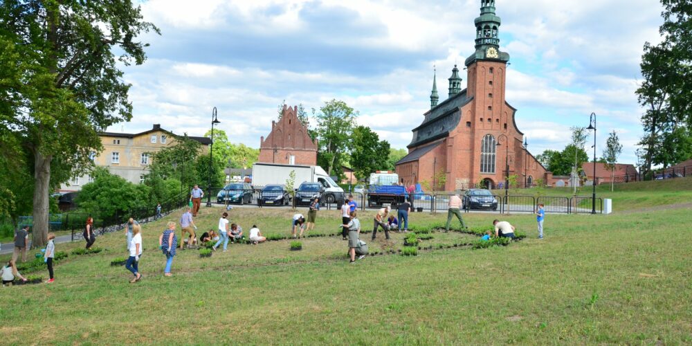 Najbliższa sesja RM sprawdzianem dla nowej rady? Chodzi o tereny przyjeziorne w Kartuzach