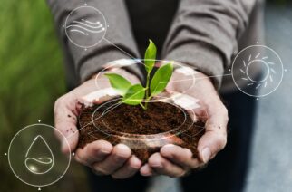 System kaucyjny w Polsce. Ekologia na pokaz czy realna ochrona środowiska?